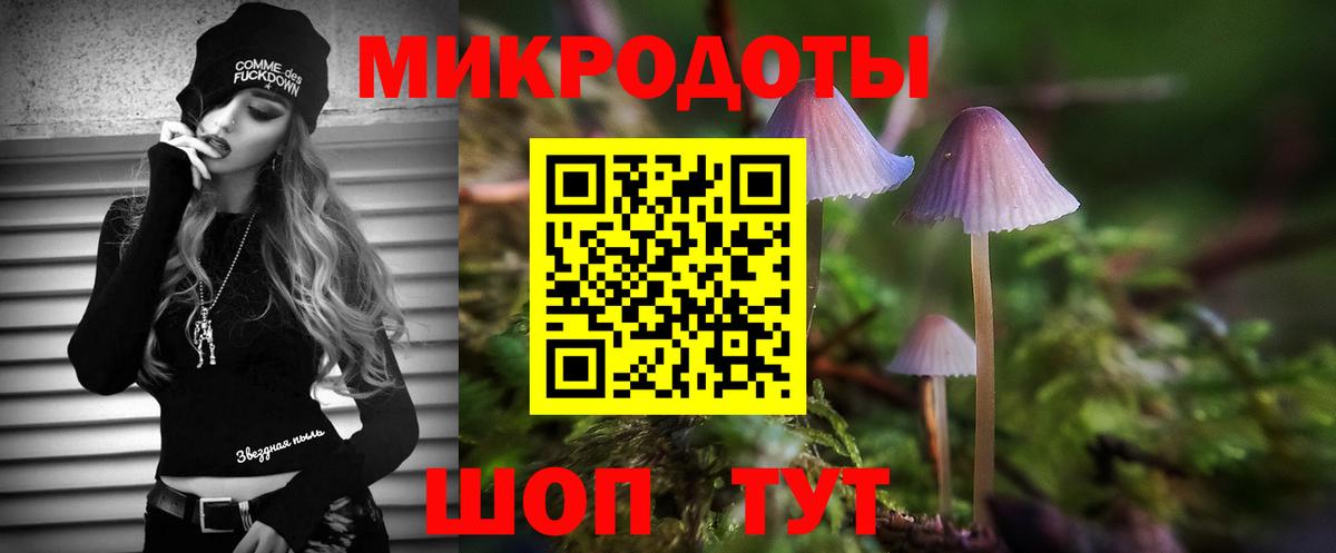 Кумертау  Галлюциногенные грибы Psilocybine cubensis  Вход с VPN 